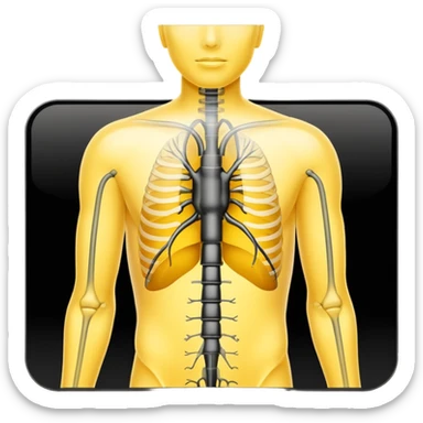 xray diagram. Yellow black sticker