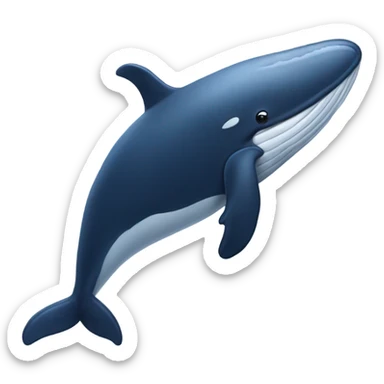 Whale sticker