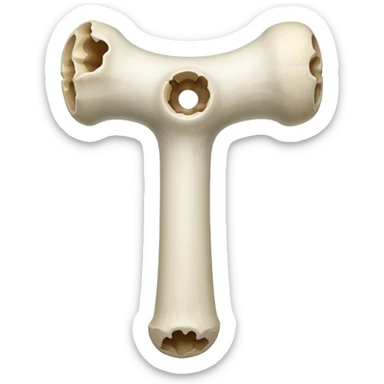 a femur bone with small holes inside sticker