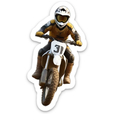 Horse on dirt bike sticker