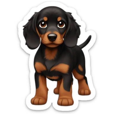 black with brown chubby little puppy long hair teckel called zeus sticker