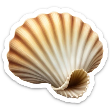 seashell realistic sticker