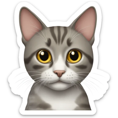 cat with the gyatt sticker