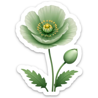 Poppy Plant with  white outline sticker
