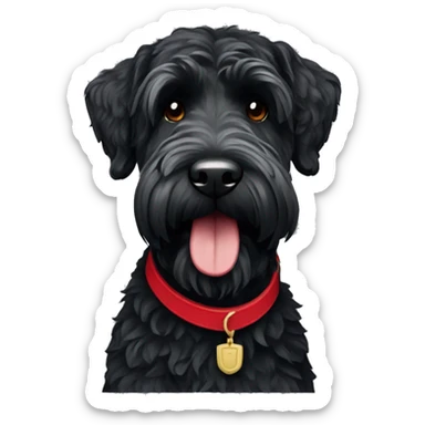 Black Russian terrier with a red collar sticker