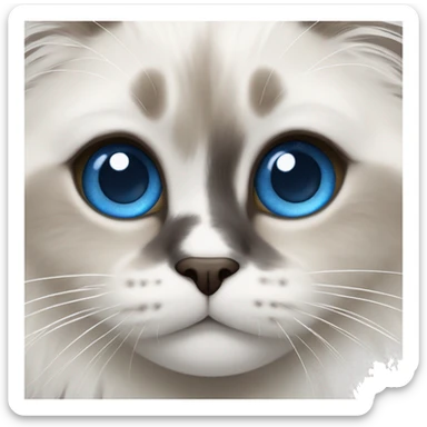 Ragdoll with blue eyes sticker