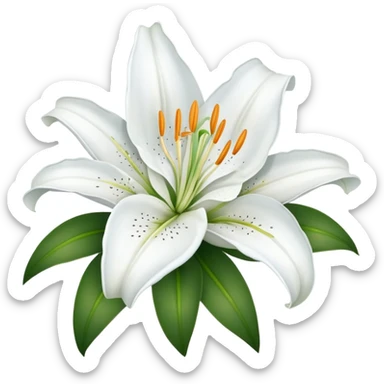 elegant white lily flower with six petals sticker