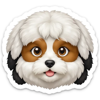 Cavapoo face all black with small white chin sticker