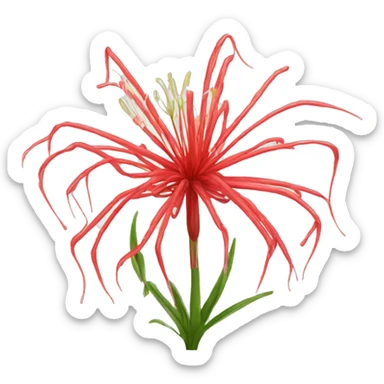 Red spider lily sticker
