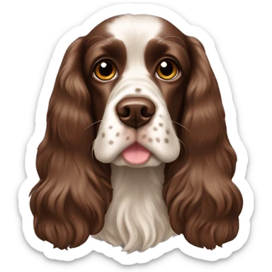 Chocolate sable english cocker spaniel sticker