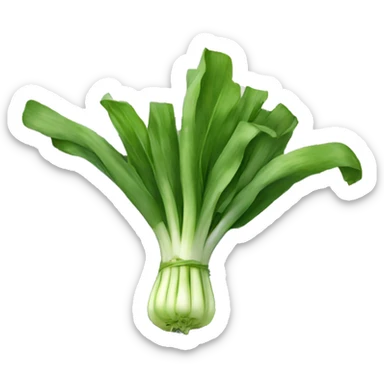 a leek using a laptop sticker