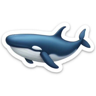 whale sticker