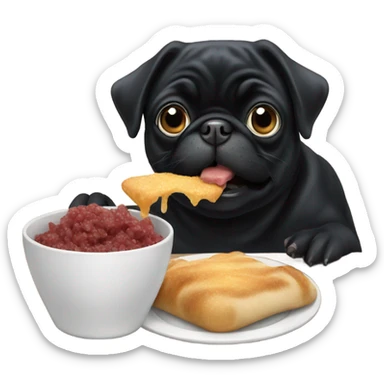 Black pug eating sticker