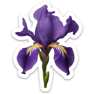 iris flower sticker