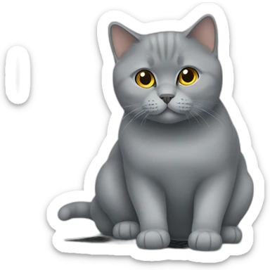 British shorthair on laptop sticker