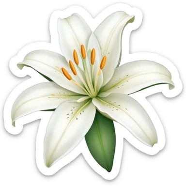 White lilyum flower sticker