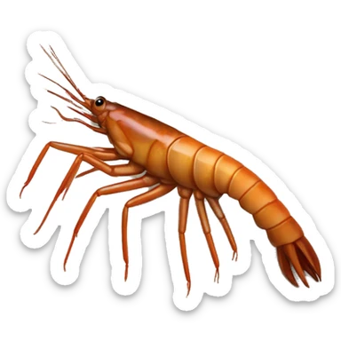 big-claw River Shrimp (Eng.), Camarón de Río brown sticker
