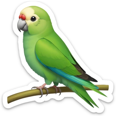 Green Quaker Parakeet sticker