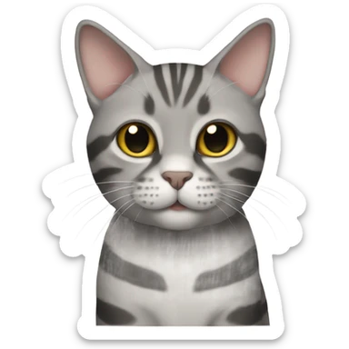 gray, striped, lop-eared cat sticker