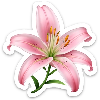 light pink lilium sticker