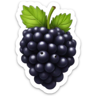 black berry sticker