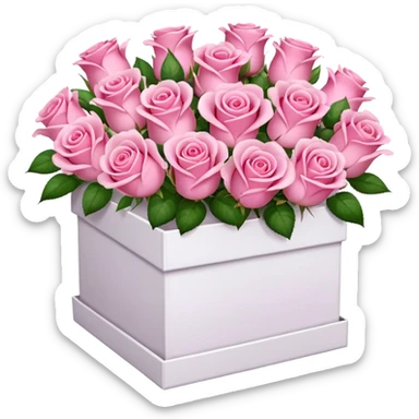 bouquet of pink 30 roses in a white box，no sticker