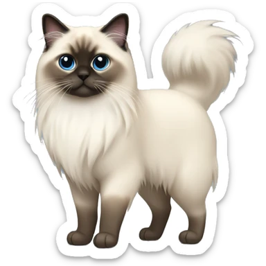Full body birman cat long fur sticker