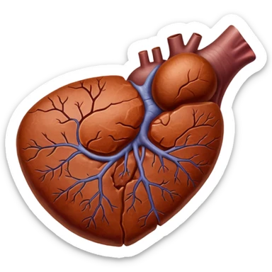 Liver original professional image sticker