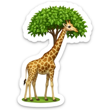 giraffe eating leaves from a tree sticker