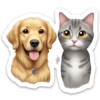 Golden retriever and grey cat shorthair British  sticker