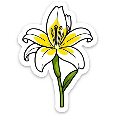 Delicate lily flower with white petals and yellow stamen, decorative design sticker