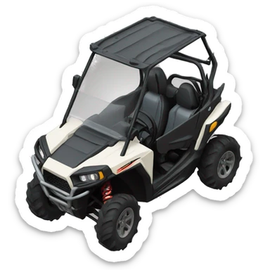 Rzr sticker