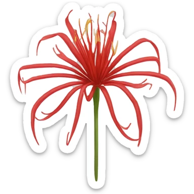 Red spider lily  sticker