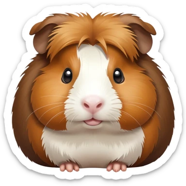 Porquinho da índia sticker