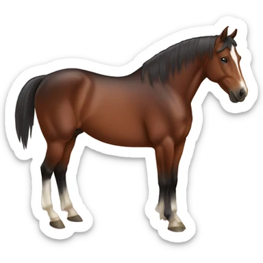 Bay horse sticker