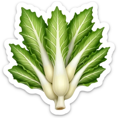 Belgian endive sticker