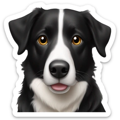 Black and white border collie lab mix sticker
