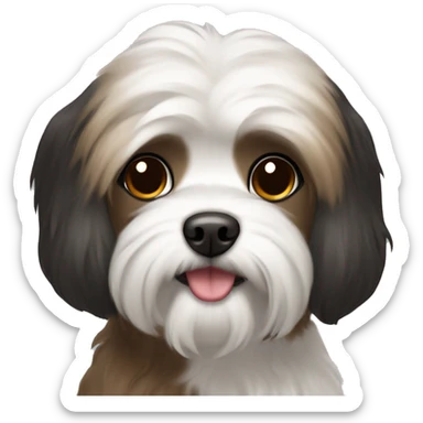 Brown black and white Maltese  sticker
