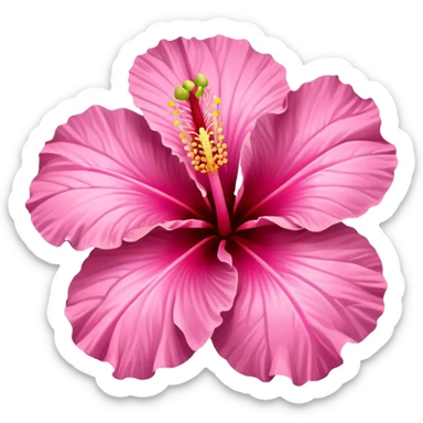 Pink hibiscus flower sticker