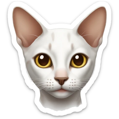 chocolate-like oriental cat very white nose  sticker