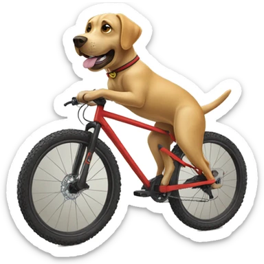 Labrador riding a real mountain bike sticker