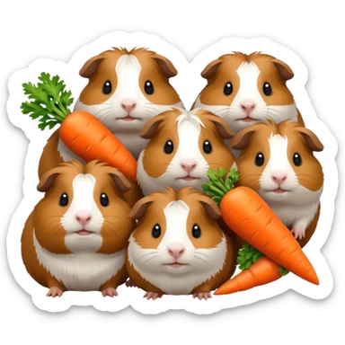 6 guinea pigs  sticker
