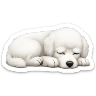 White blind Bichon dog sleeping sticker
