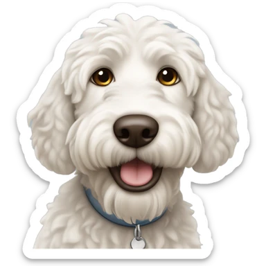 White Labradoodle dog with dark brown ears  sticker