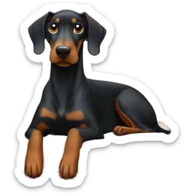 Doberman in a dog bed  sticker