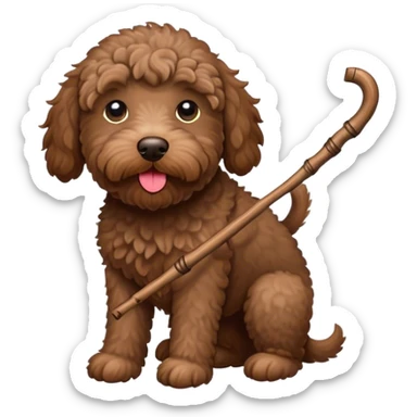 Brown Labradoodle holding stick in mouth sticker