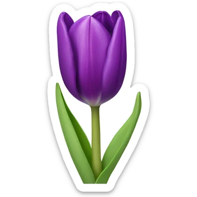 Purple tulip sticker