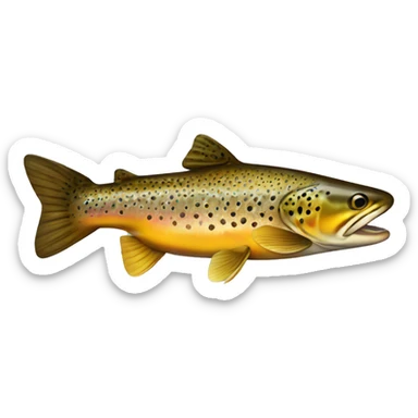 Brown trout  sticker