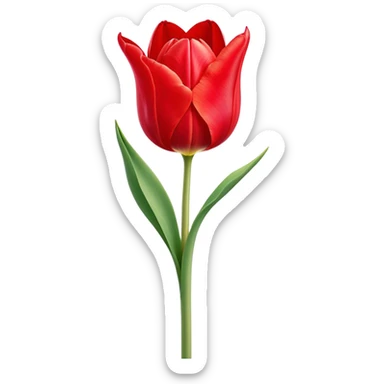 ​Cinematic Realistic Tulip, depicted as a single, exquisitely detailed bloom with vibrant red petals and a delicate stem, softly illuminated by natural light that highlights its graceful beauty and elegant form, sticker