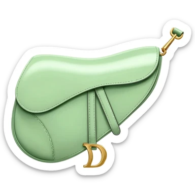light green dior saddle bag sticker